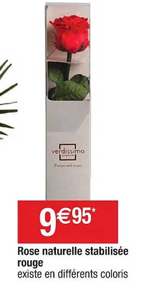 rose naturelle stabilisée rouge