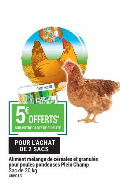aliment mélange de céréales et granulés pour poules pondeuses plein champ