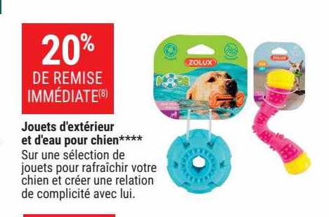 jouets d'extérieur et d'eau pour chien