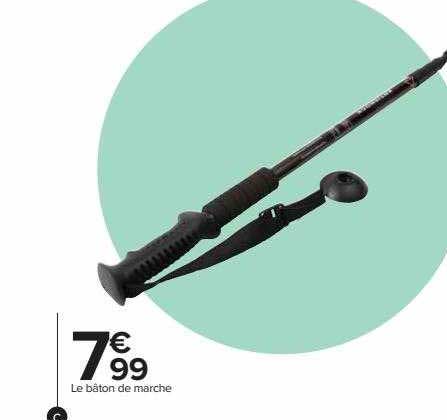 Le Bâton De Marche
