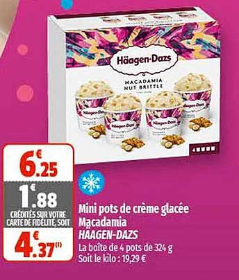 Mini Pots De Crème Glacée Macadamia Häagen-dazs