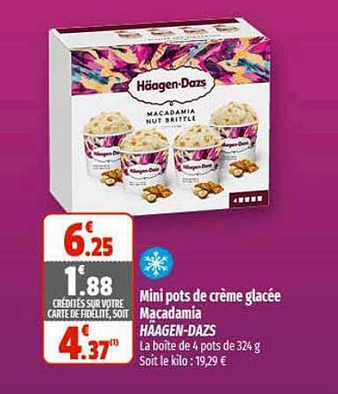 mini pots de crème glacée macadamia häagen-dazs