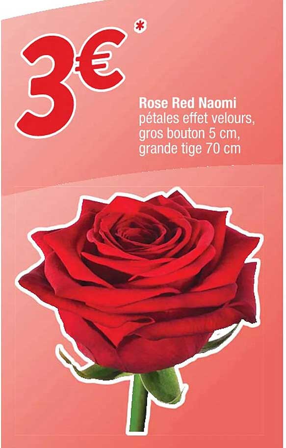 rose red naomi