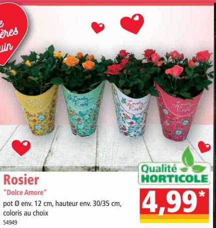 rosier "dolce amore"