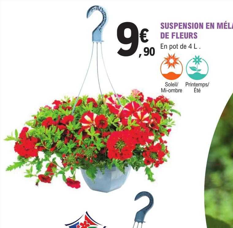 Sitemapcdatahttpsmodeinf Inetcompot De Fleurs Brico Depot