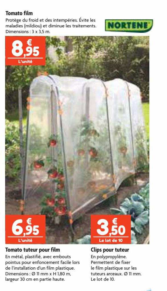 tomato film, tomato tuteur pour film, clips pour tuteur