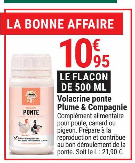 volacrine ponte plume & compagnie