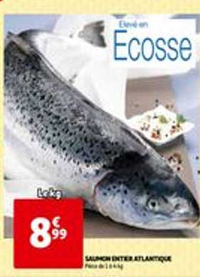 saumon inter atlantique