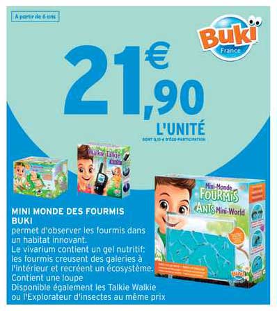 mini monde des fourmis buki