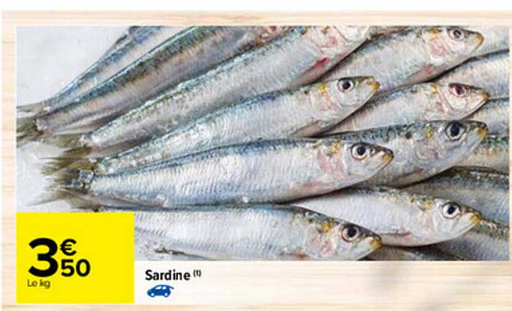 Sardine