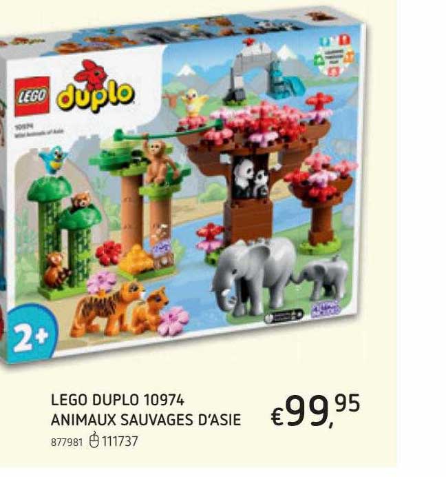 lego duplo animaux sauvages d'asie