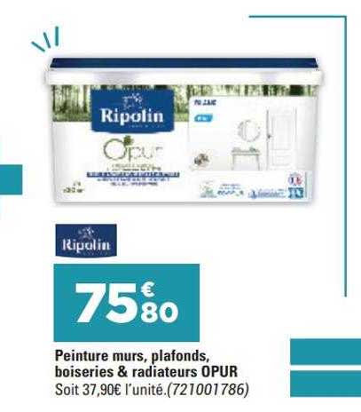 peinture murs plafonds boiseries & radiateurs opur ripolin