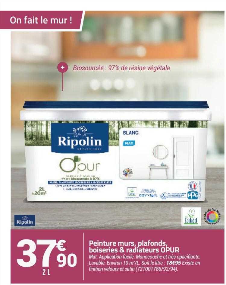 peinture murs plafonds boiseries & radiateurs opur