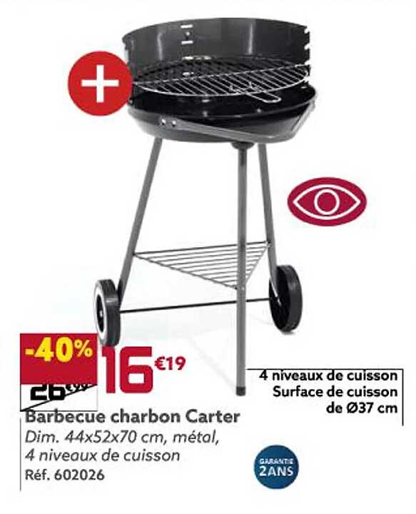 barbecue charbon carter