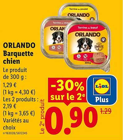 ORLANDO Barquette chien