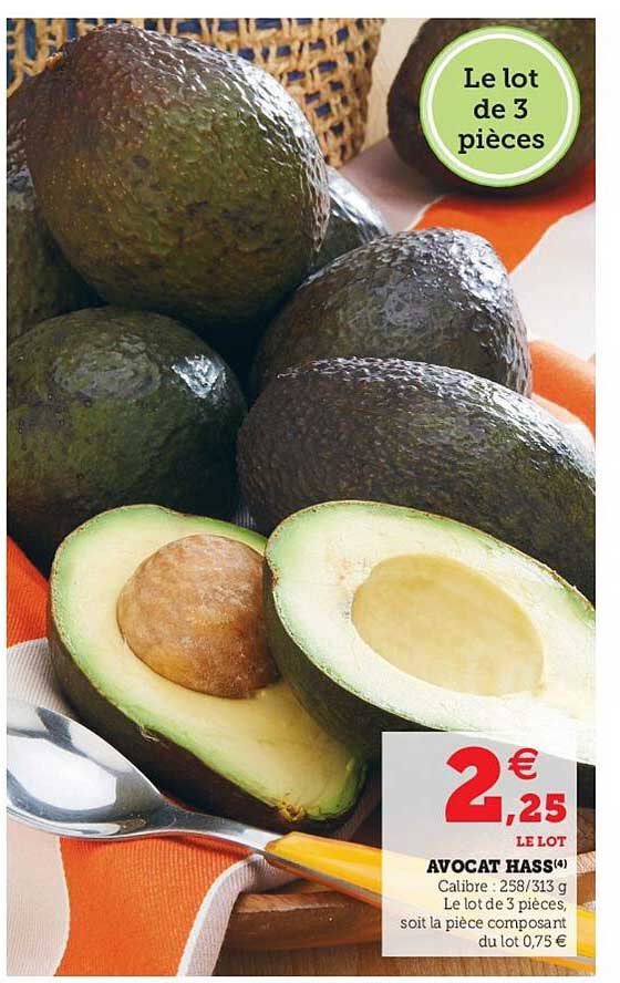Avocat Hass