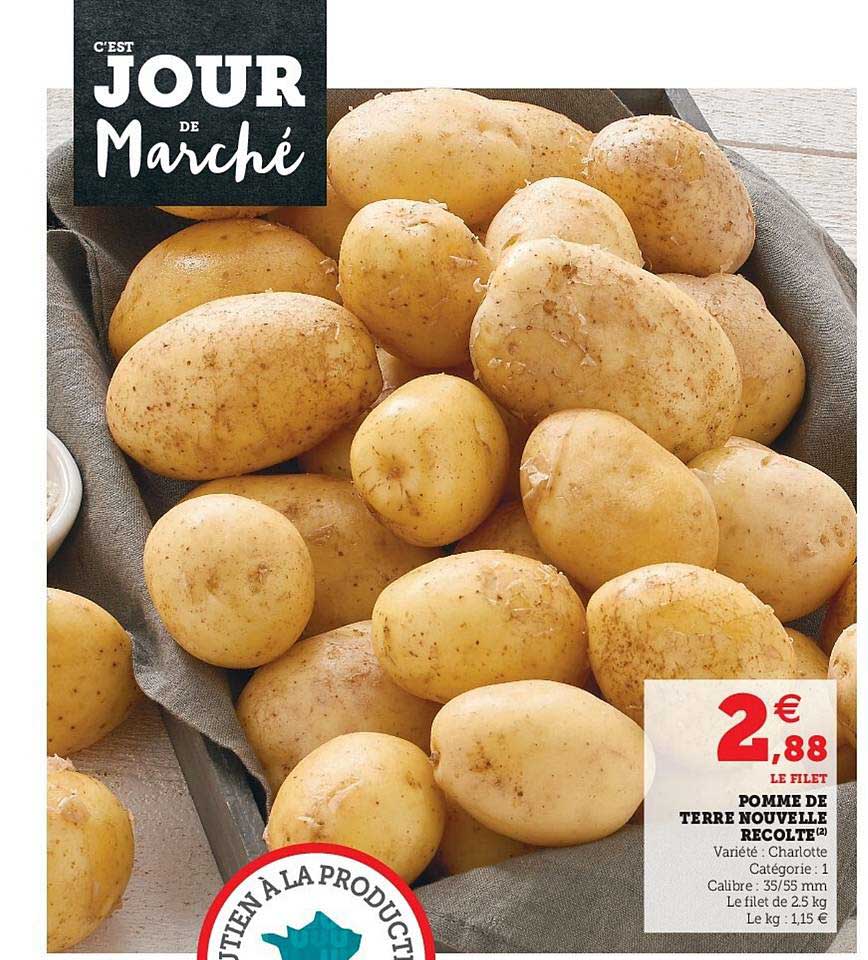 pomme de terre nouvelle récolte