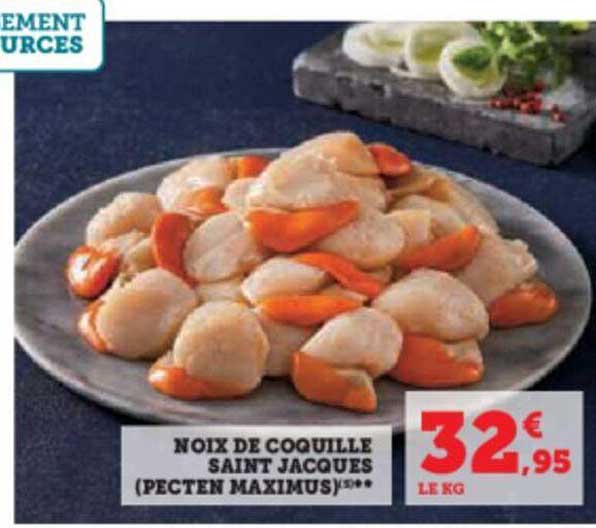 noix de coquille saint jacques (pecten maximus)