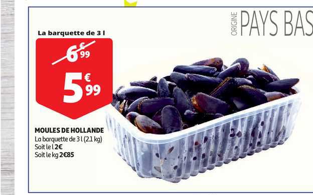 Moules De Hollande