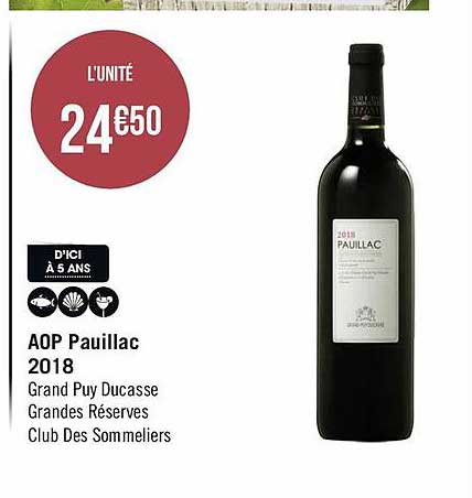 aop pauillac 2018 grand puy ducasse