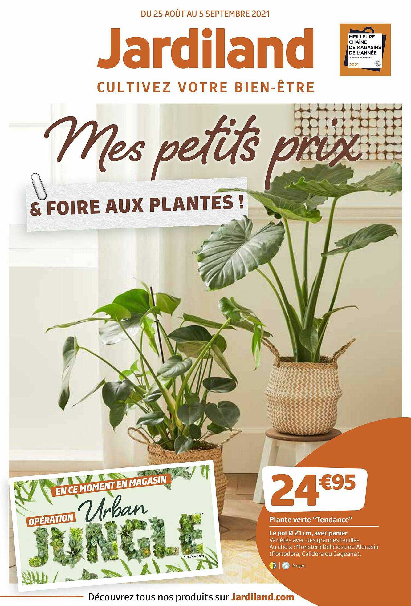 Plante Verte "tendance"