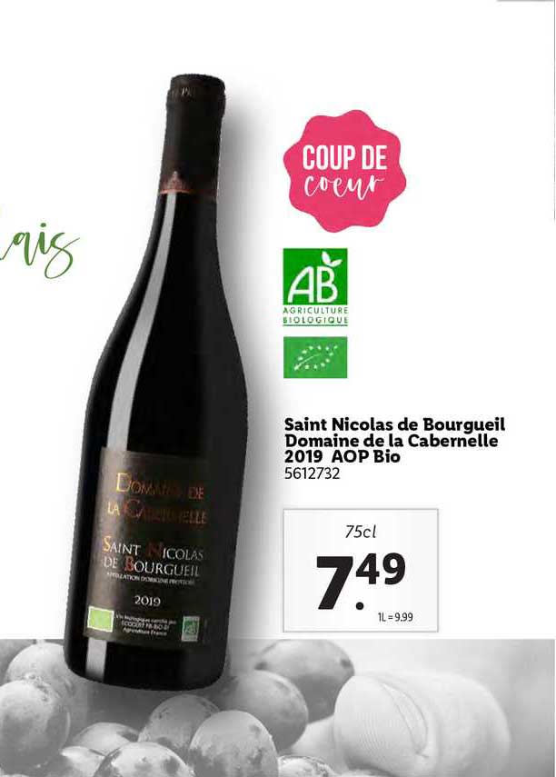 Saint Nicolas De Bourgueil Domaine De La Cabernelle 2019 Aop Bio