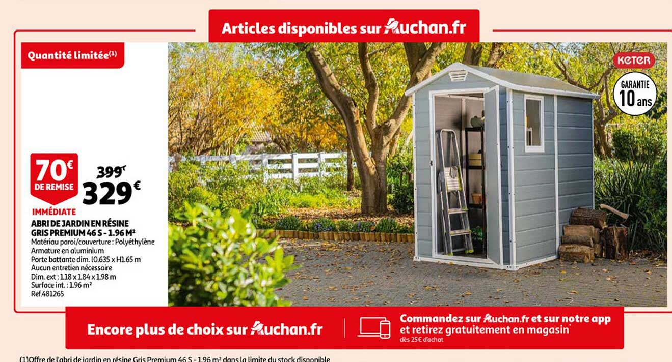 Abri De Jardin En Résine Gris Premium Keter