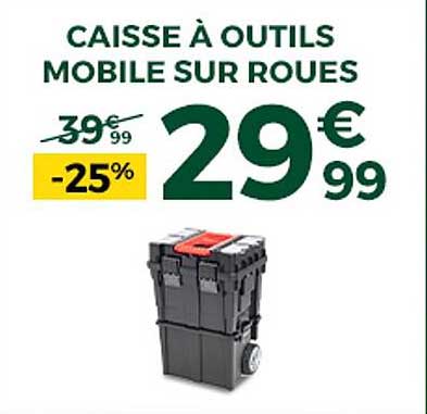 Caisse à Outils Mobiles Sur Roues