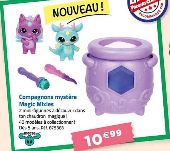 compagnons mystère magic mixies