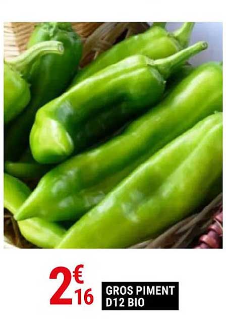 gros piment d12 bio