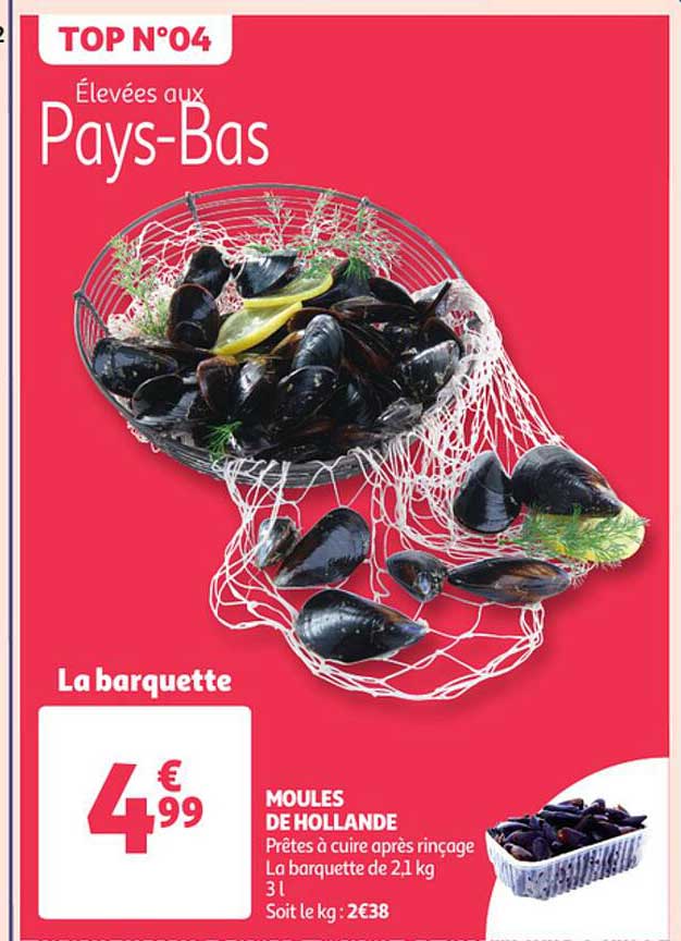 moules de holland