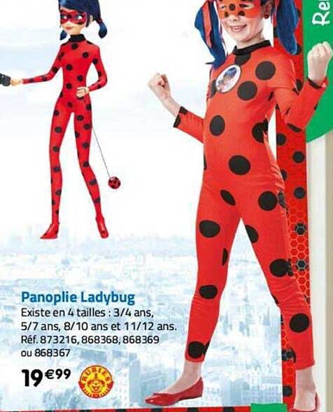 panoplie ladybug