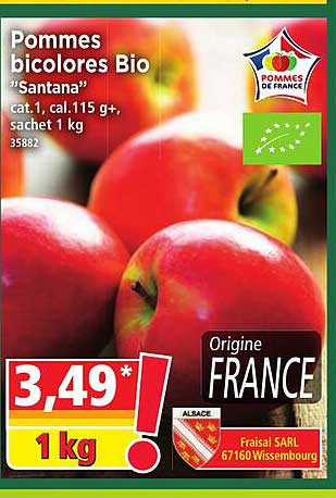 pommes bicolores bio "santana"