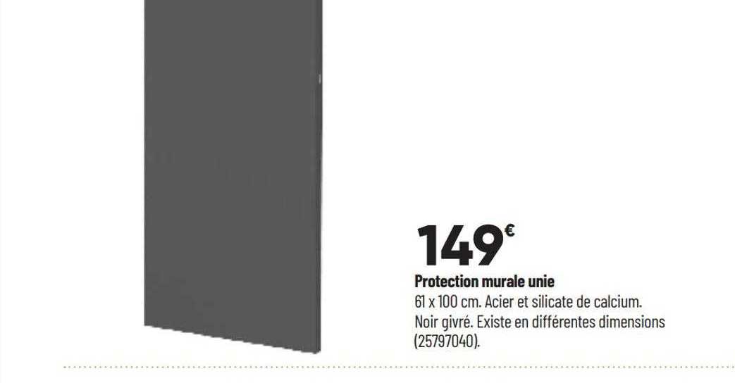 Protection Murale Unie