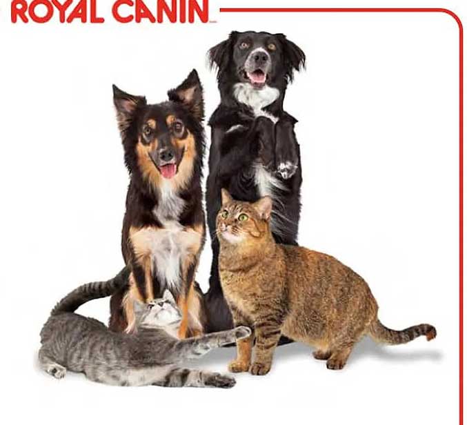 royal canin