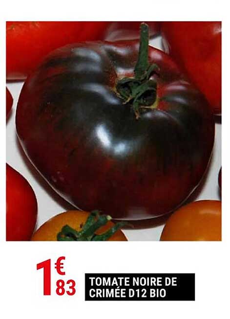 tomate noire de crumée d12 bio