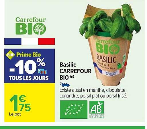 Basilic Carrefour Bio
