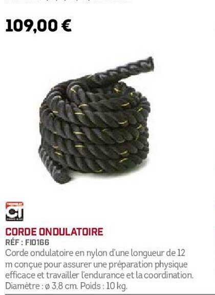 Corde Ondulatoire