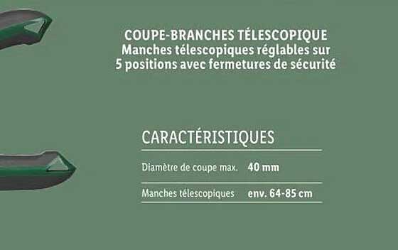 coupe-branches télescopique