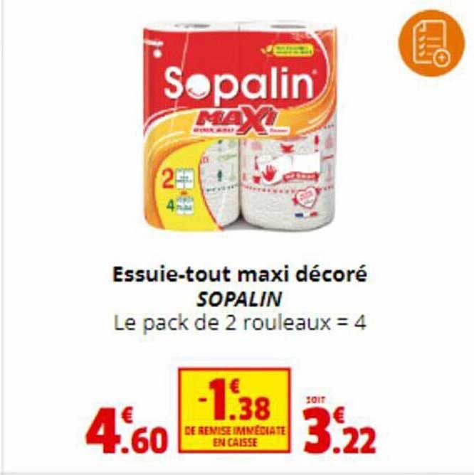 essuie-tout maxi décoré sopalin