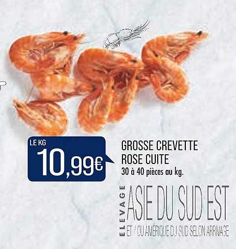 grosse crevette rose cuite