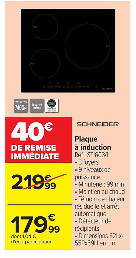 Plaque à Induction Schneider