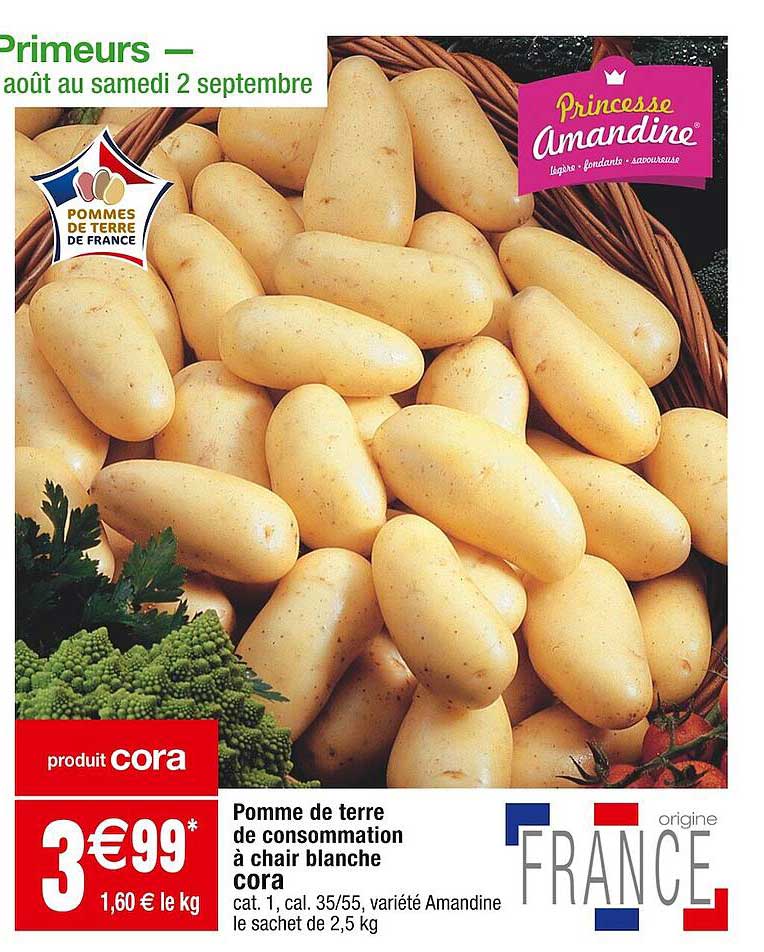 Pomme De Terre De Consommation à Chair Blanche Cora