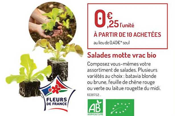 Salades Motte Vrac Bio