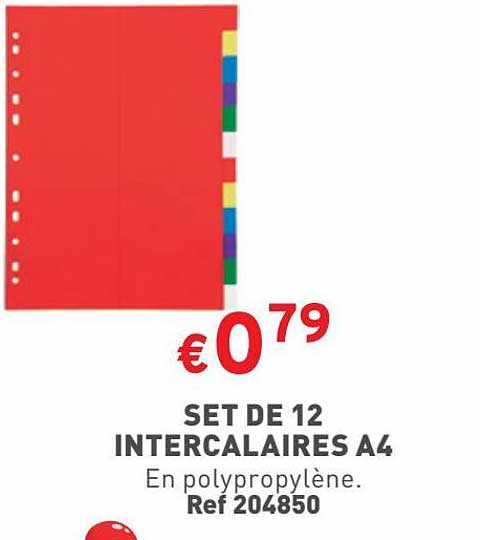 Set De 12 Intercalaires A4