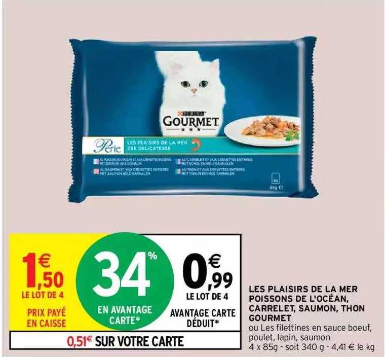 les plaisirs de la mer poissons de l'océan, carrelet, saumon, thon gourmet