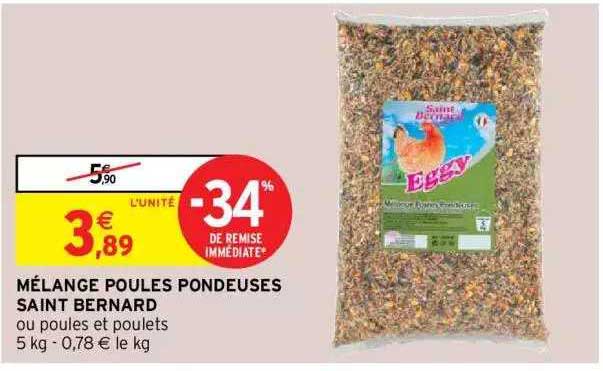 mélange poules pondeuses saint bernard