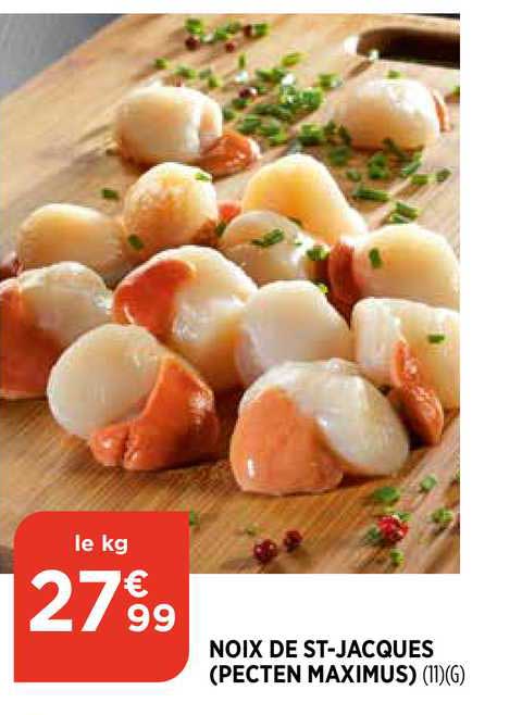 Noix De St-jacques (pecten Maximus)
