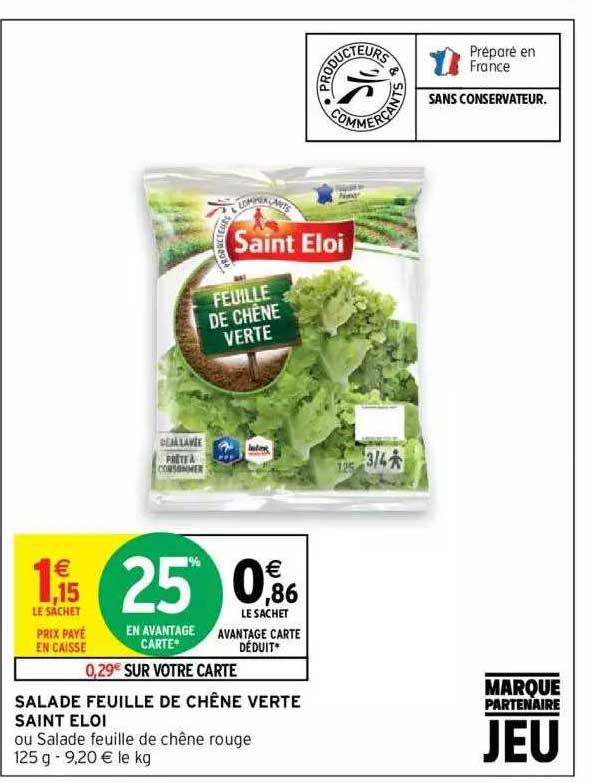 Salade Feuille De Chêne Verte Saint éloi