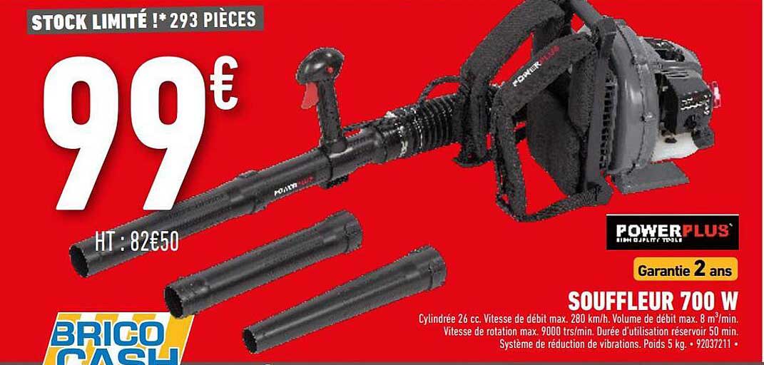 souffleur 700w powerplus